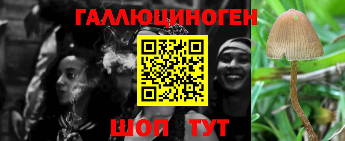 Галлюциногенные грибы Magic Shrooms  Галлюциногенные грибы Psilocybine cubensis  Вход с VPN  Каменск-Шахтинский 